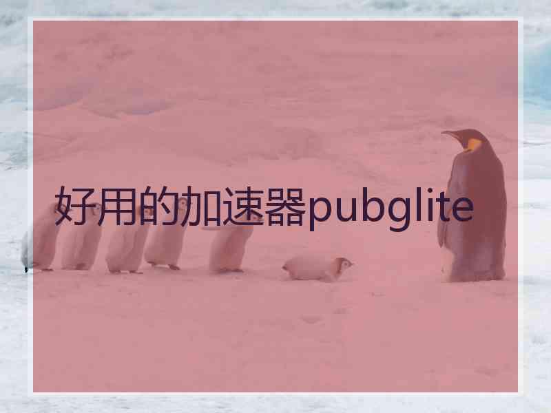 好用的加速器pubglite