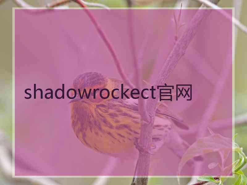 shadowrockect官网