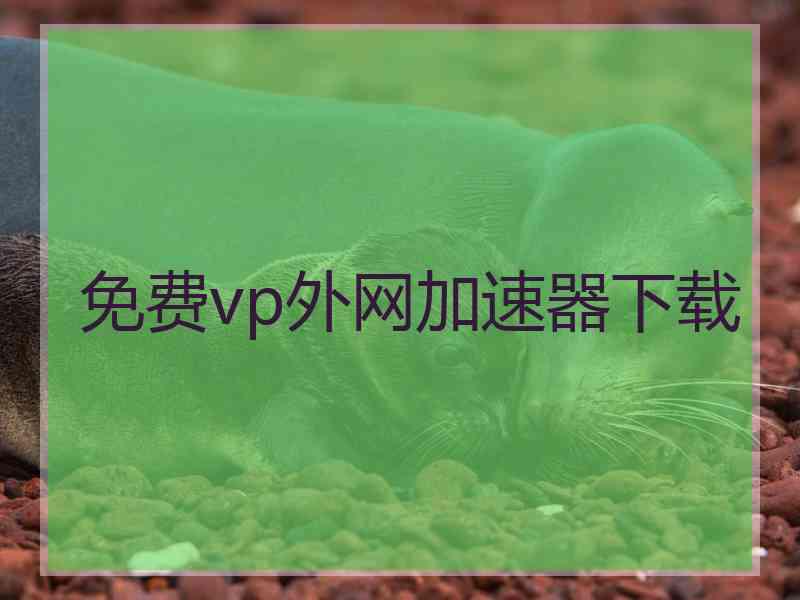 免费vp外网加速器下载