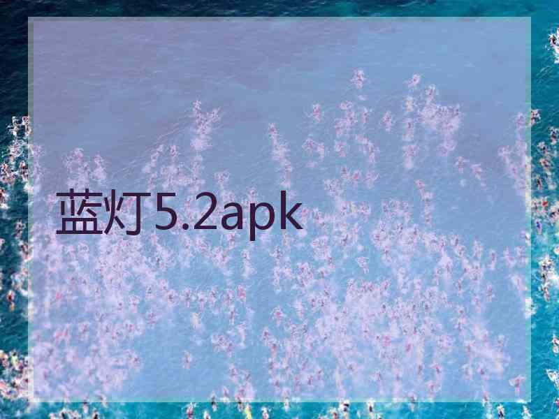 蓝灯5.2apk