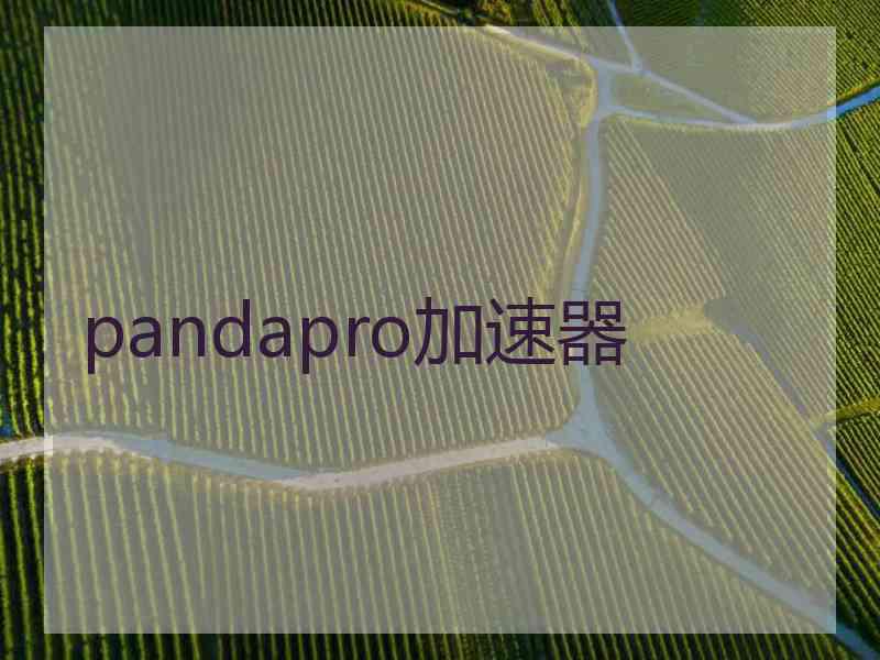 pandapro加速器