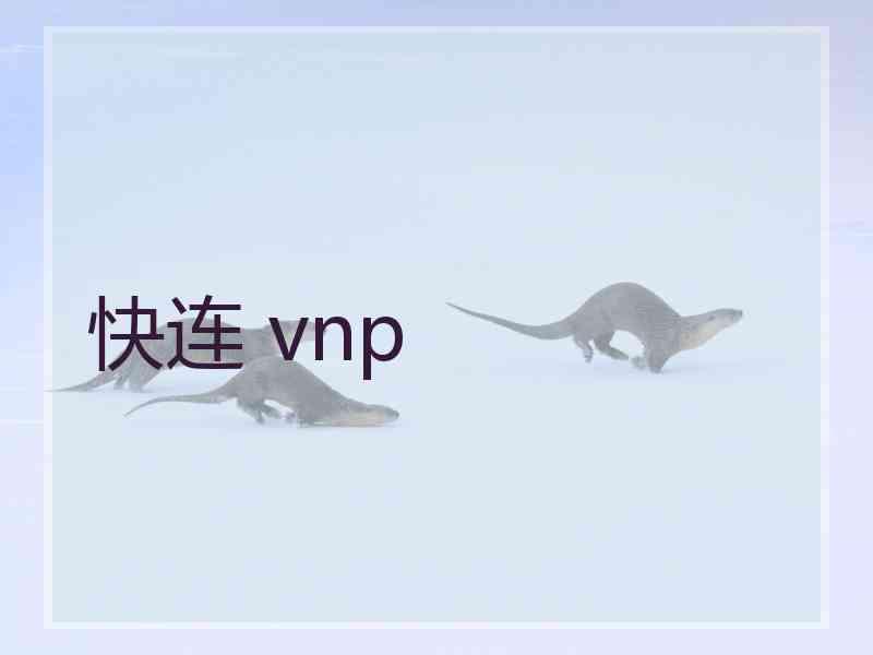 快连 vnp