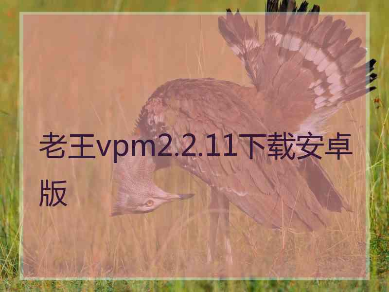 老王vpm2.2.11下载安卓版