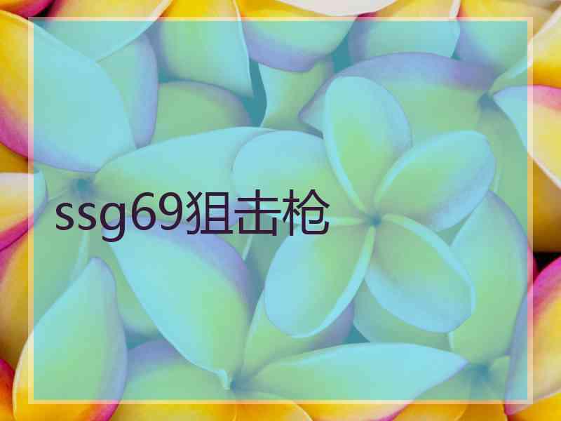 ssg69狙击枪