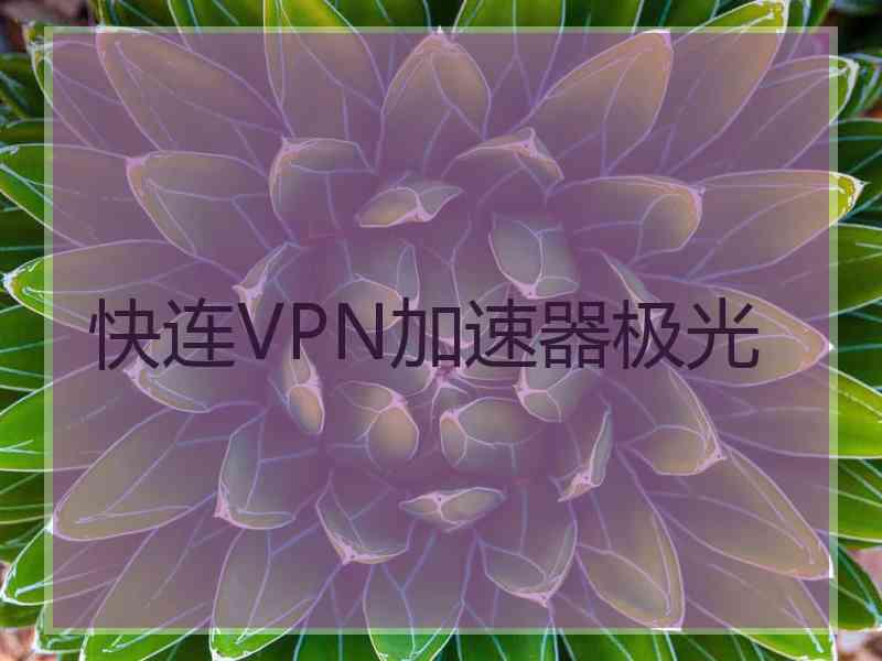 快连VPN加速器极光