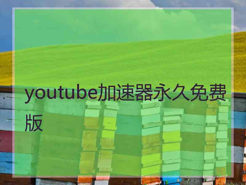 youtube加速器永久免费版