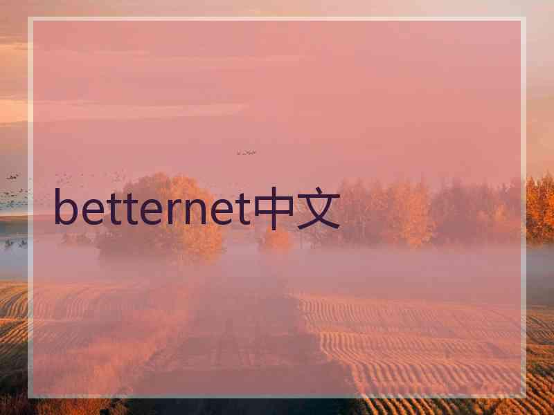 betternet中文