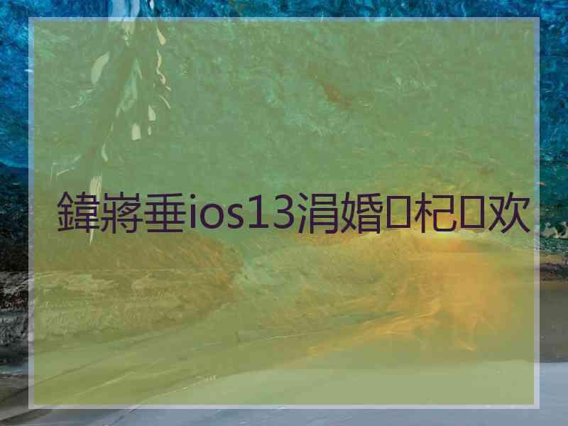 鍏嶈垂ios13涓婚杞欢