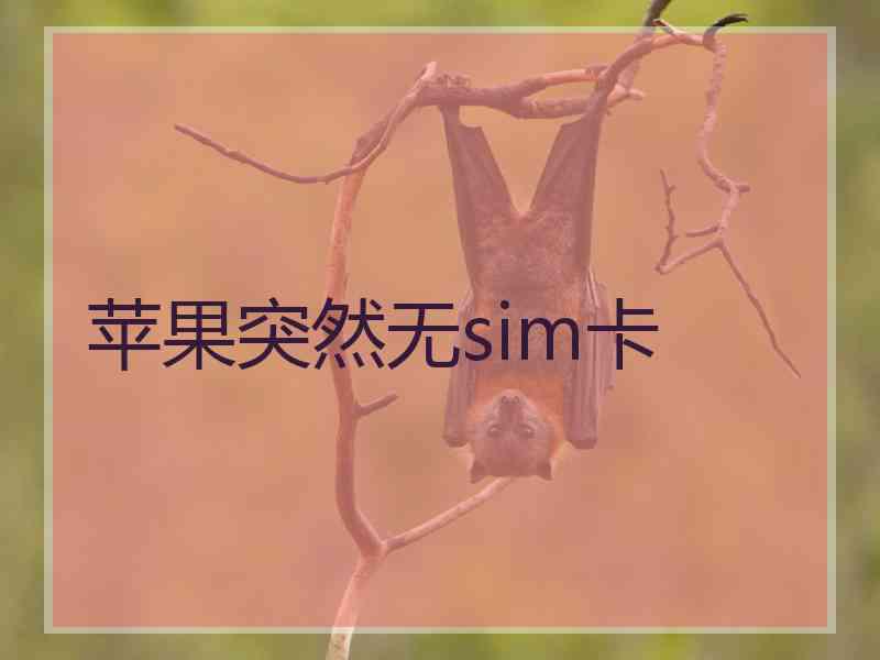 苹果突然无sim卡