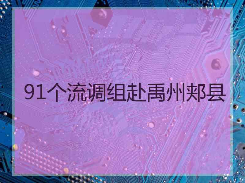 91个流调组赴禹州郏县