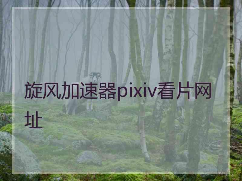 旋风加速器pixiv看片网址