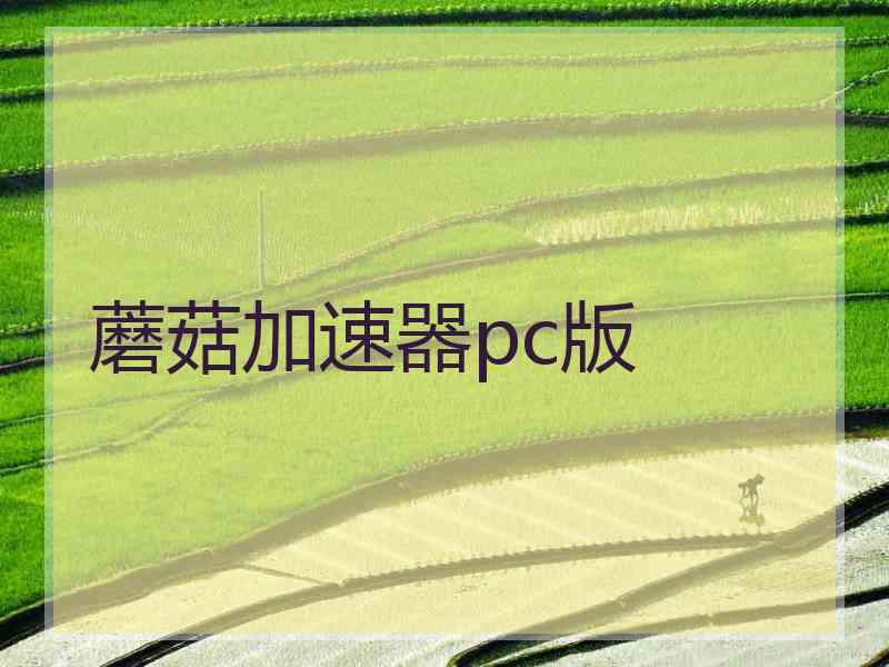 蘑菇加速器pc版