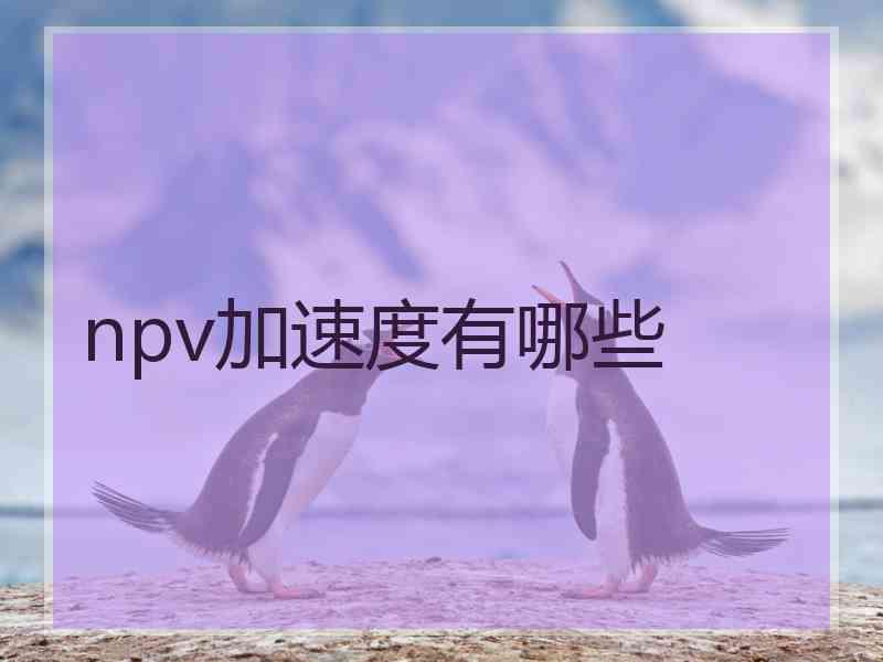 npv加速度有哪些