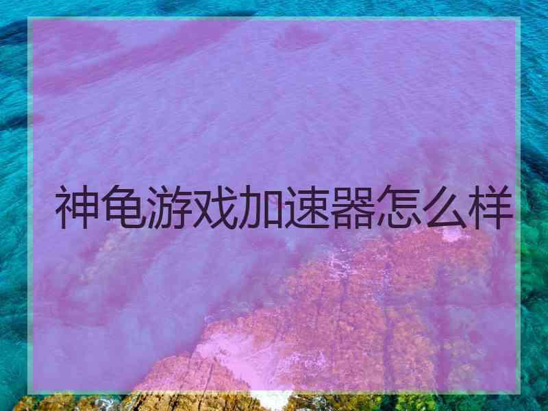 神龟游戏加速器怎么样