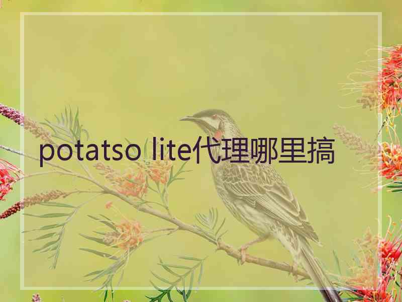 potatso lite代理哪里搞