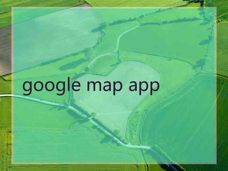 google map app