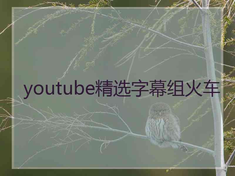 youtube精选字幕组火车