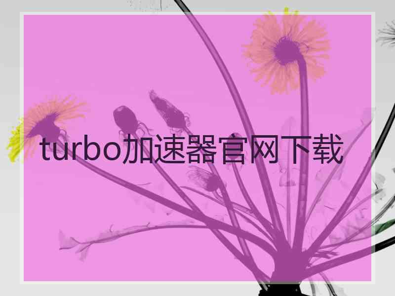 turbo加速器官网下载