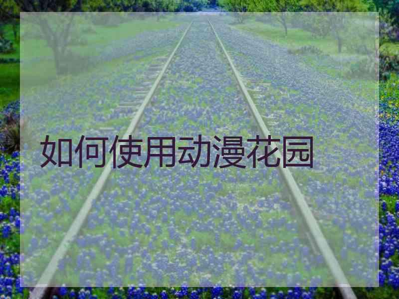 如何使用动漫花园