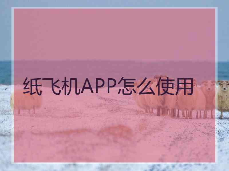 纸飞机APP怎么使用