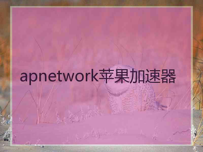 apnetwork苹果加速器