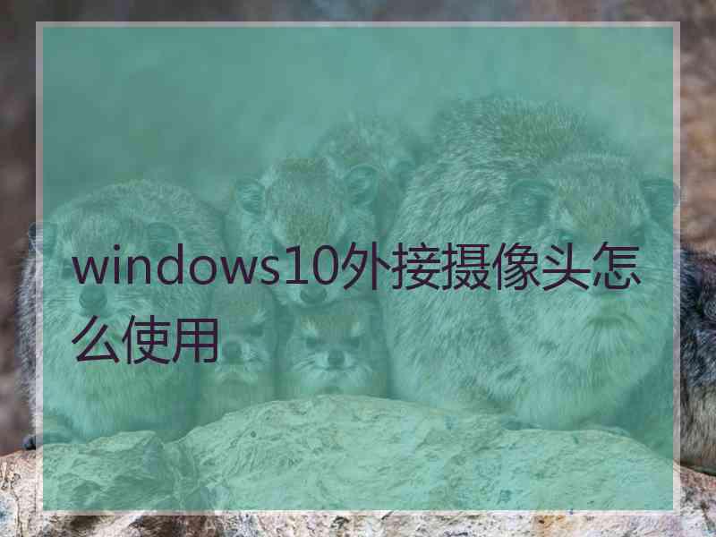 windows10外接摄像头怎么使用