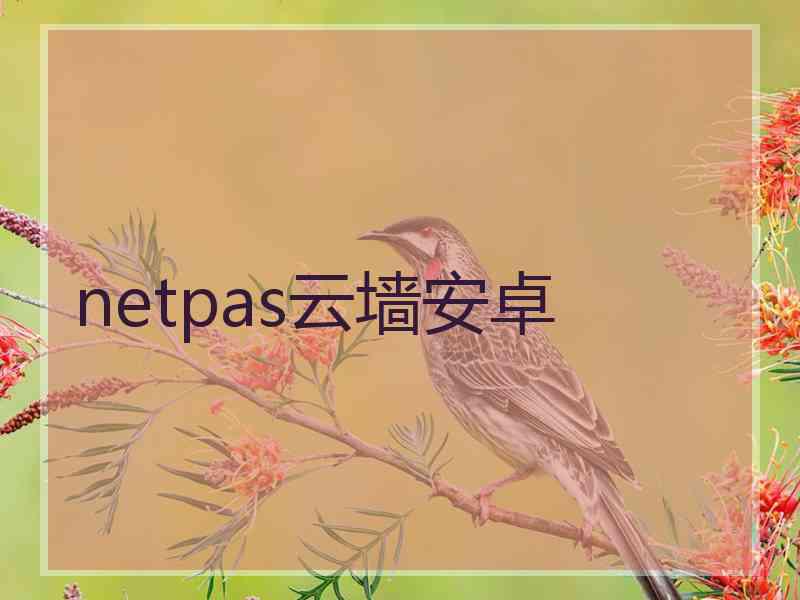 netpas云墙安卓