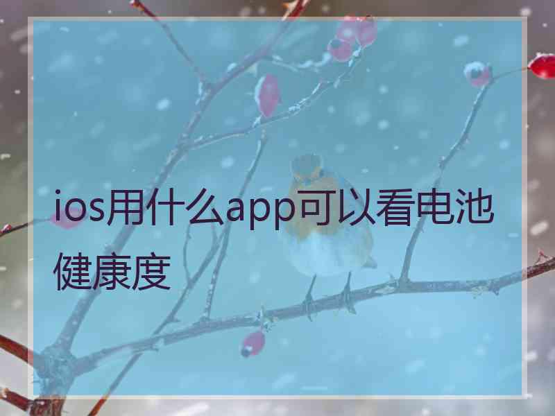 ios用什么app可以看电池健康度