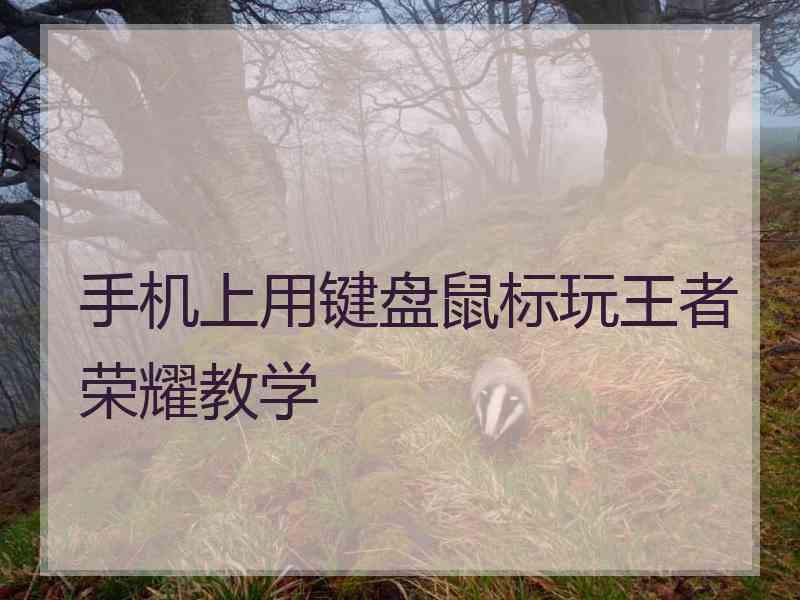 手机上用键盘鼠标玩王者荣耀教学