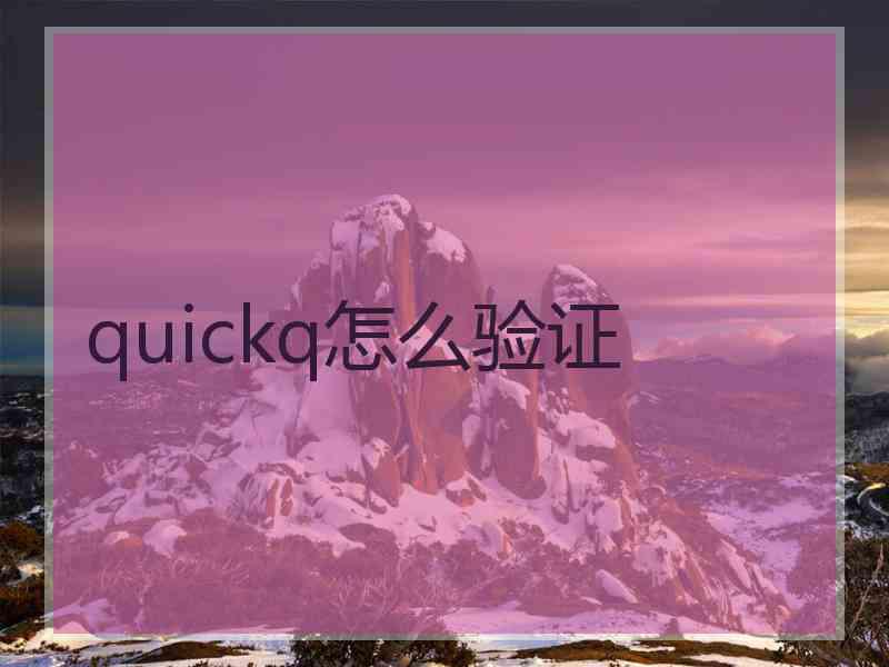 quickq怎么验证