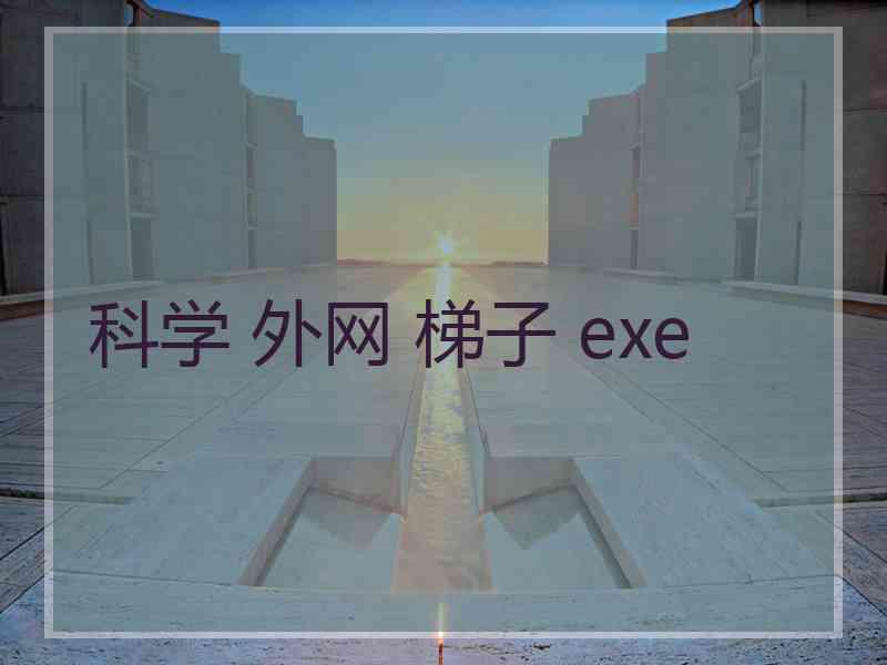 科学 外网 梯子 exe