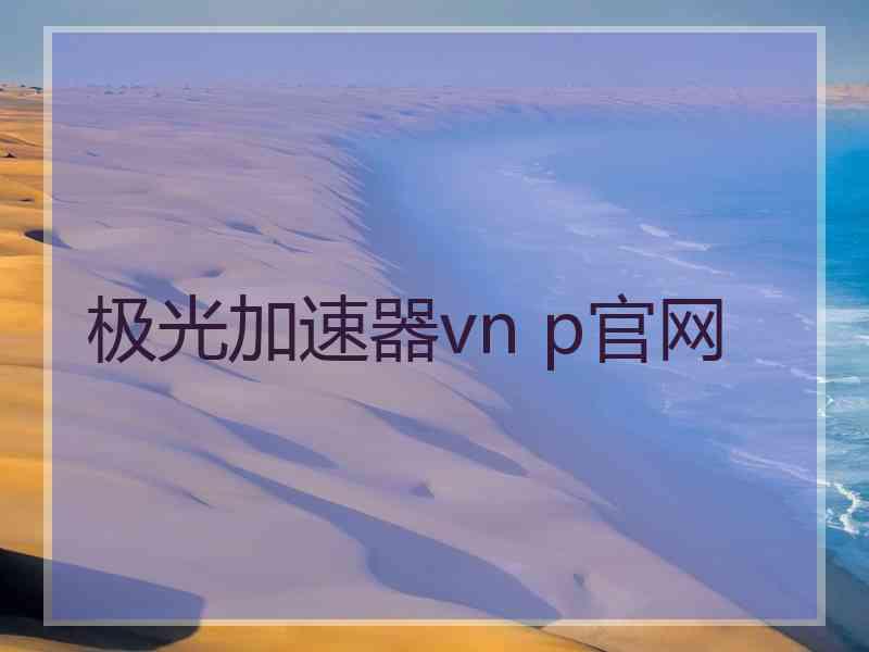 极光加速器vn p官网