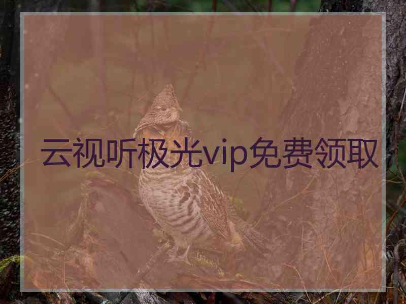 云视听极光vip免费领取