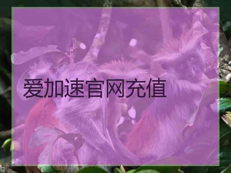 爱加速官网充值