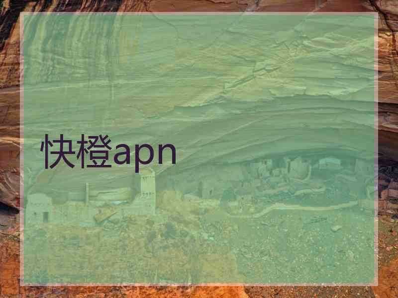 快橙apn