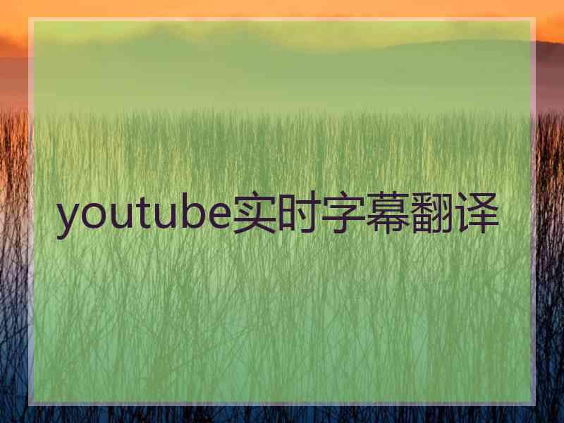 youtube实时字幕翻译