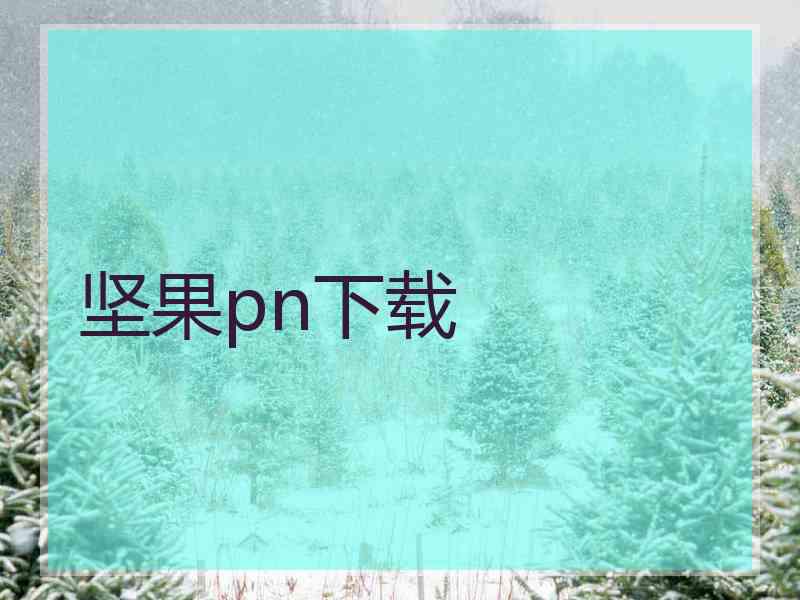 坚果pn下载