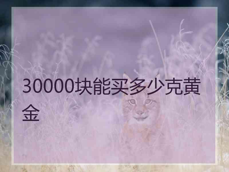 30000块能买多少克黄金