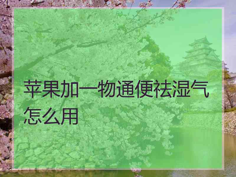 苹果加一物通便祛湿气怎么用