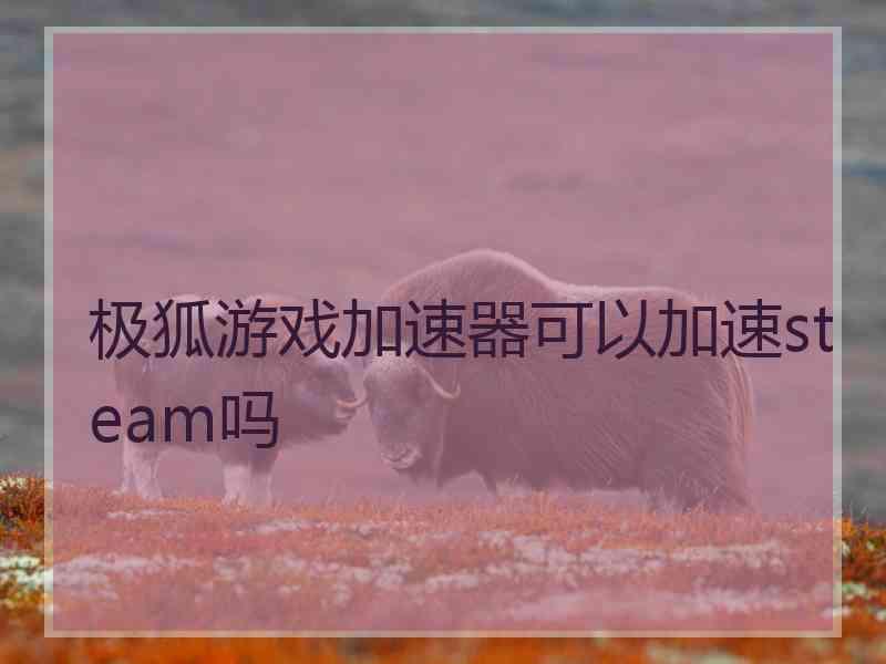 极狐游戏加速器可以加速steam吗