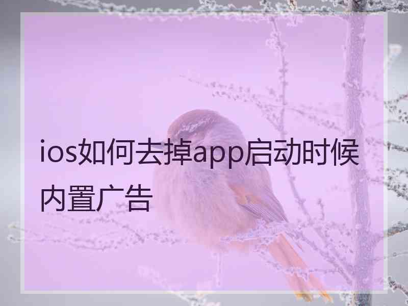 ios如何去掉app启动时候内置广告