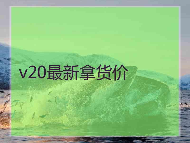 v20最新拿货价