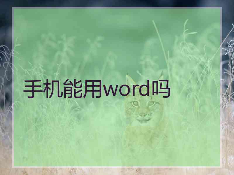 手机能用word吗