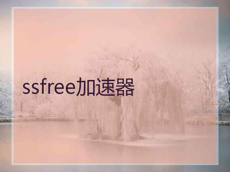 ssfree加速器