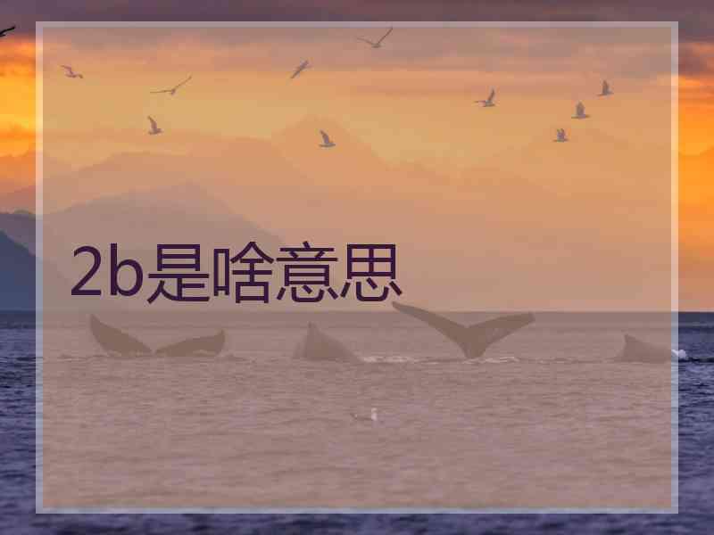 2b是啥意思