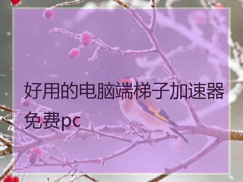 好用的电脑端梯子加速器免费pc