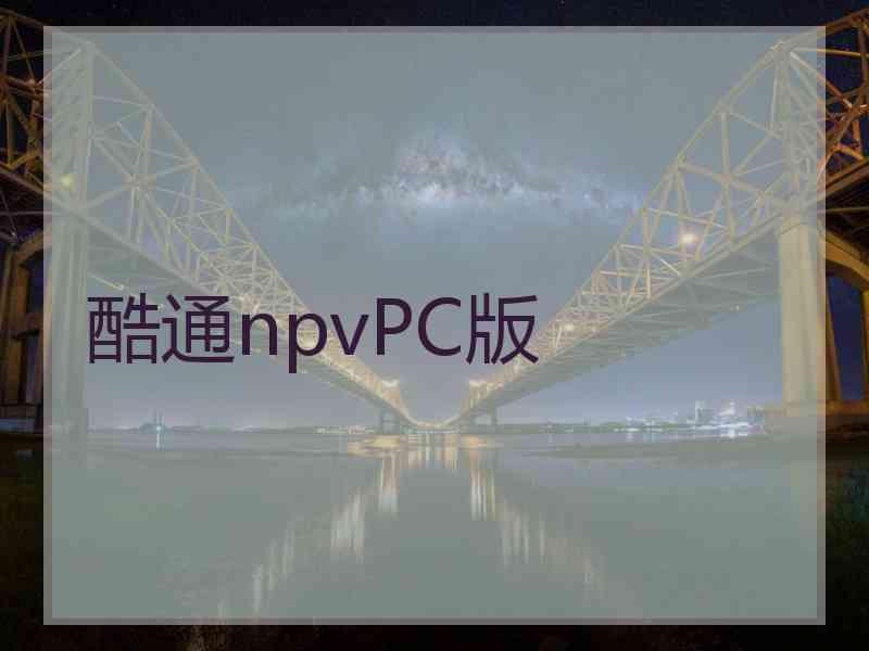 酷通npvPC版