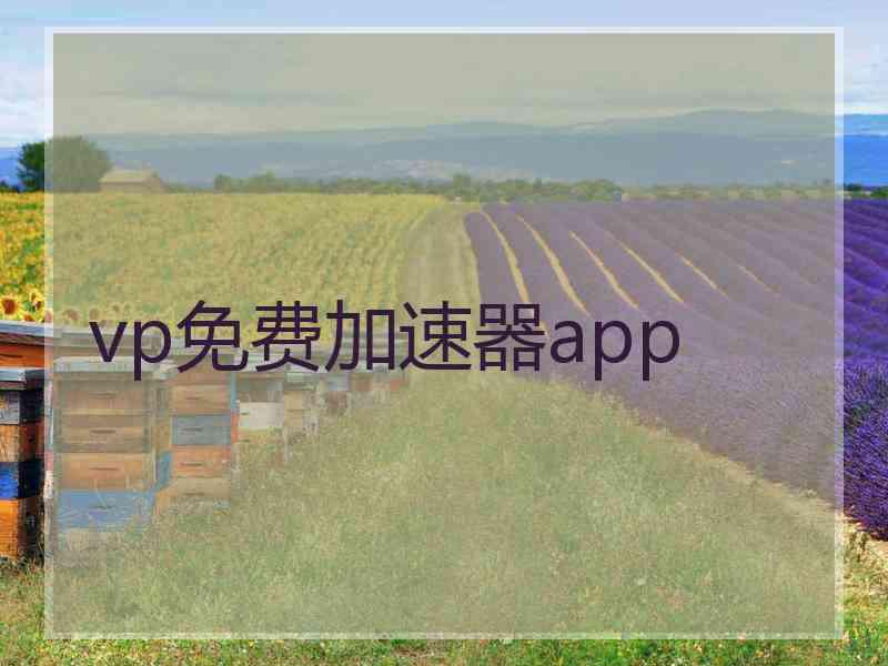 vp免费加速器app