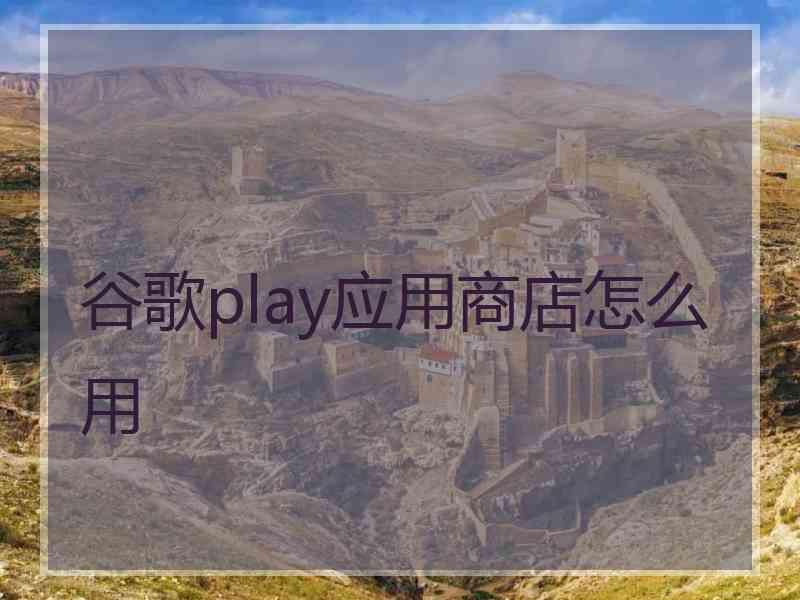 谷歌play应用商店怎么用