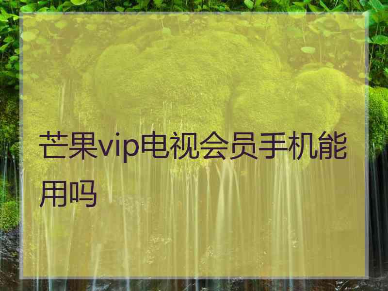 芒果vip电视会员手机能用吗